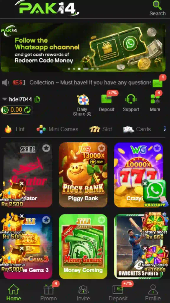 pak14 game